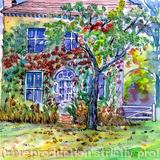 Autumn comes to Beaconsfield