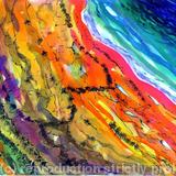 Path to the beach aerial view