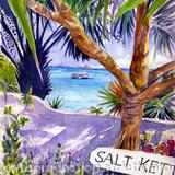 Salt Kettle Lane ferry