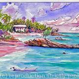 Mangrove Bay Bermuda