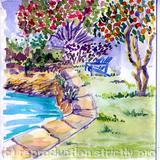 Salt Kettle House back garden