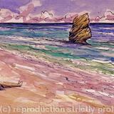 the hat maker warwick long bay bermuda