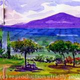 Oyster farming Languedoc