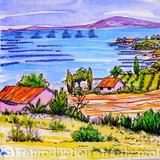 Oyster farming Languedoc