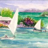 sunfish-sunday-bermuda