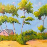 Beach House France 30'x20'