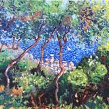 Mediterranean Sunlight