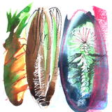 Study for Ocean Garden No.1