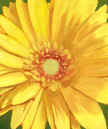Daisy Burst