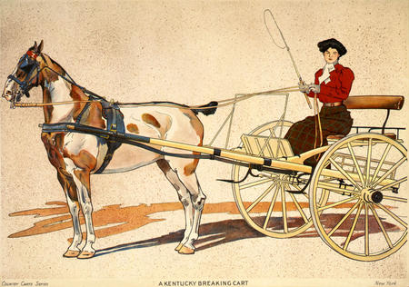 Painted Harness Pony