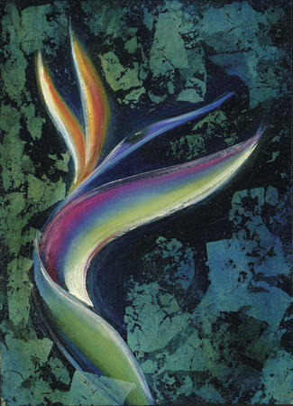 Bird of Paradise