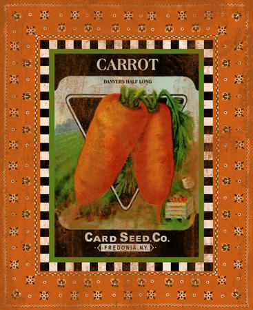 Carrot Seed Pack
