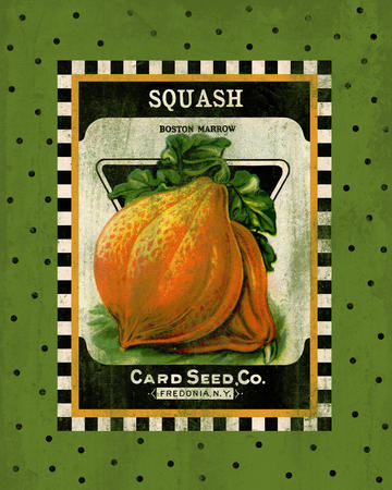 Squash Seed Pack