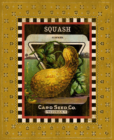 Summer Squash Seed Pack
