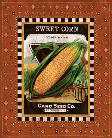 Sweet Corn Seed Pack