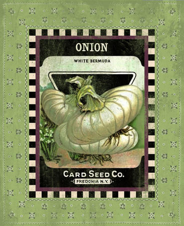 Onion Seed Pack