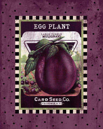 Eggplant Seed Pack