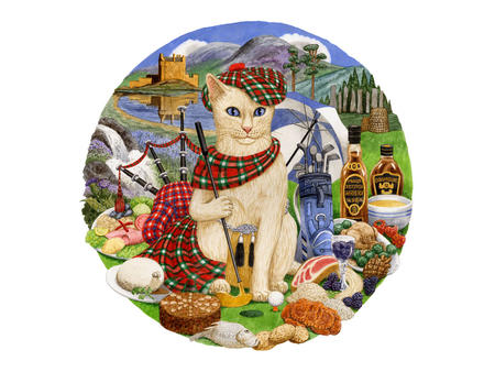 Scottish cat
