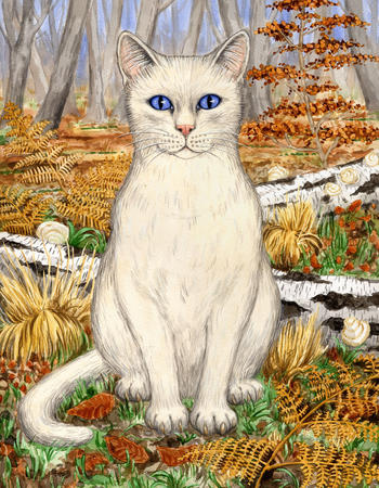 White cat