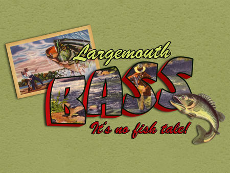 Largemouth Bass Fishing