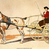 Painted Harness Pony