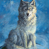 Sitting on top of the world