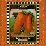 Carrot Seed Pack
