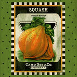 Squash Seed Pack