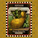 Summer Squash Seed Pack