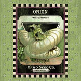 Onion Seed Pack