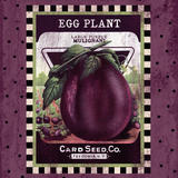 Eggplant Seed Pack