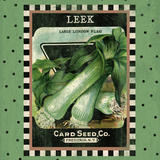 Leek Seed Pack