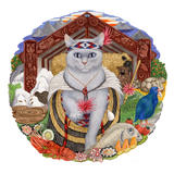 New Zealand cat