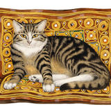 Tabby cat on cushion