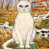 White cat