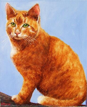 Ginger Cat