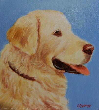 Retriever 'Goldie'