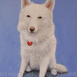 German Shepherd 'George'