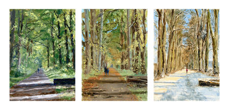 Shotover triptych