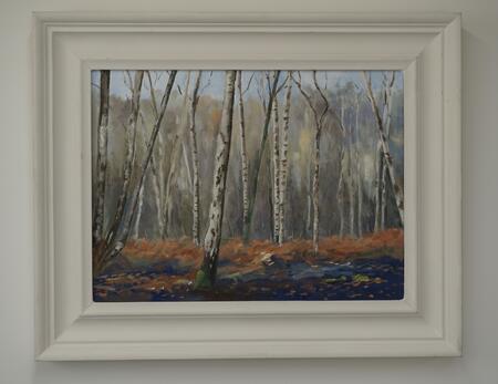 Silver birch copse