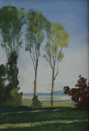 Early summer morning