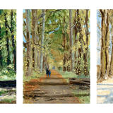 Shotover triptych