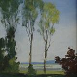 Early summer morning