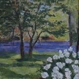 Oxford Univ arboretum