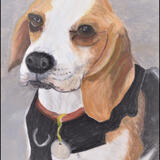 BERTIE BEAGLE