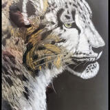 SNOW LEOPARD
