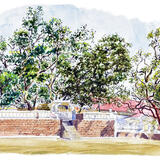  Anuradhapura, Bo Tree 