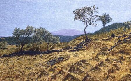 Paisaje en El Ajusco