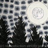 The moon of november 14