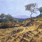 Paisaje en El Ajusco